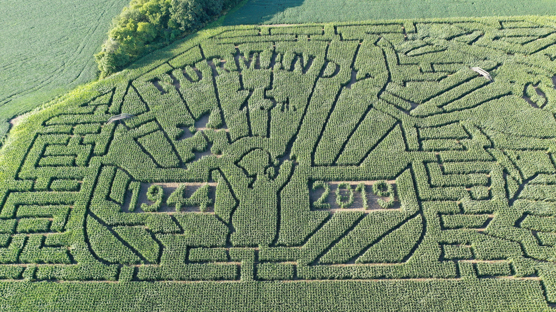Schuster's Farm